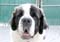 02_brod_103005