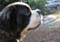 04_brod_091805