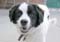 05_gilda_103005