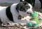 08_gilda_091805