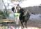 15_hortbrod_091805