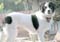 16_gilda_091805