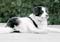 18_gilda_103005