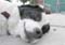 19_gilda_103005