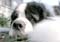 20_brod_091805