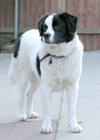 Gilda 07_gilda_103005
