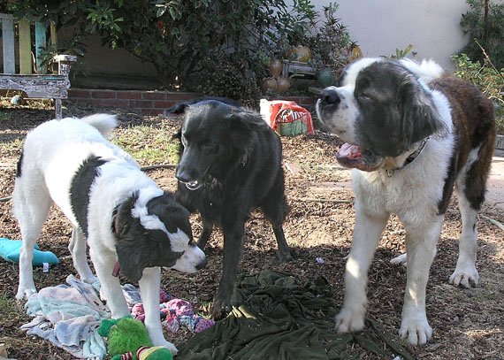 Gilda, Horton, and Broderick in Montecito Heights, Los Angeles 12_gildhortbrod_091805