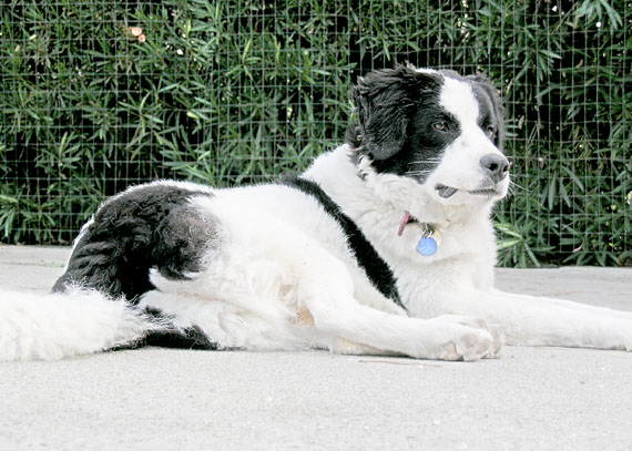 Gilda 18_gilda_103005
