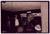 dog_resc_band.16