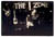 dog_resc_band.2