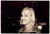 dog_resc_barmaid.1