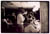 dog_resc_locals.4