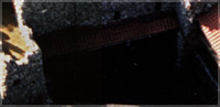 B2