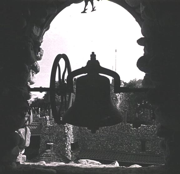 View from the Bell Tower at Rubel Pharms